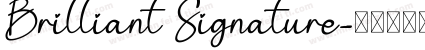 Brilliant Signature字体转换